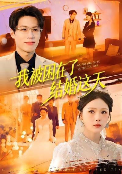 我被困在了结婚这天封面图