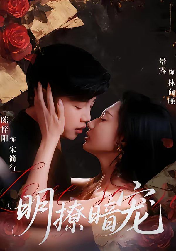 明撩暗宠封面图