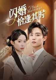 闪婚恰逢其时封面图
