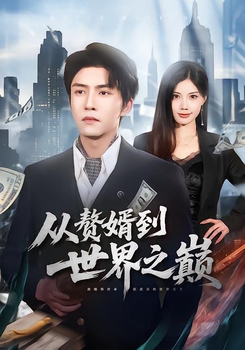 赘婿到世界之巅封面图