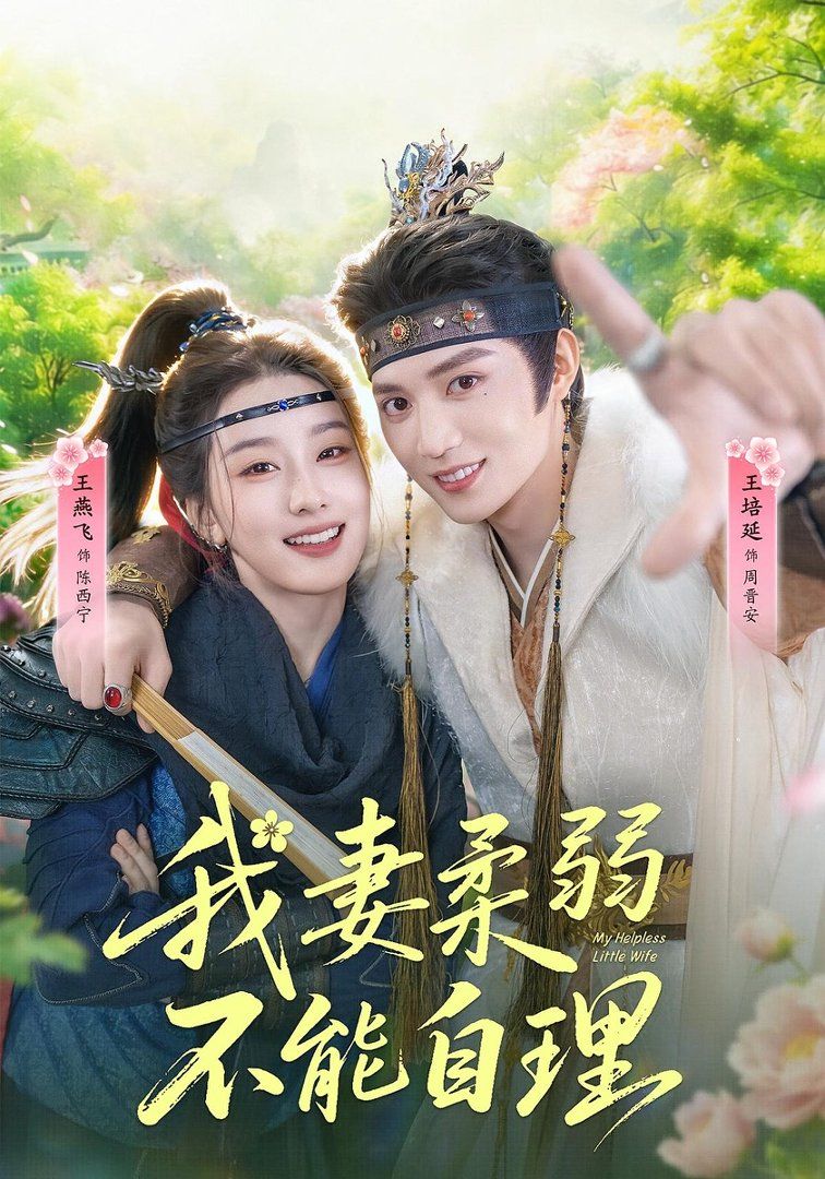 我妻柔弱不能自理封面图