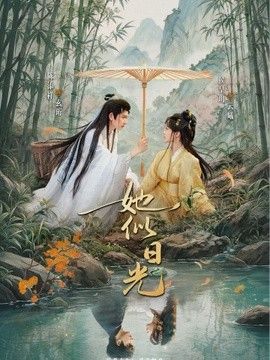 她似日光封面图