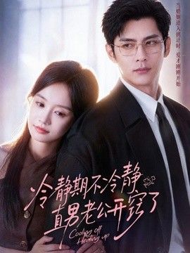 冷静期不冷静，直男老公开窍了封面图