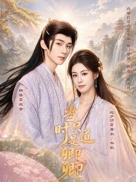 当时只道是卿卿封面图