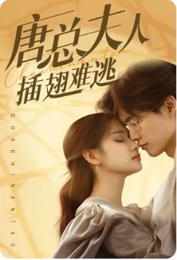 唐總夫人插翅難逃