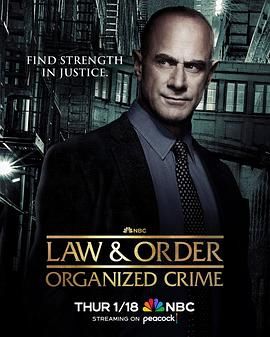 法律与秩序,组织犯罪,第四季 