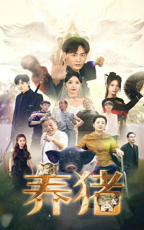 養(yǎng)豬