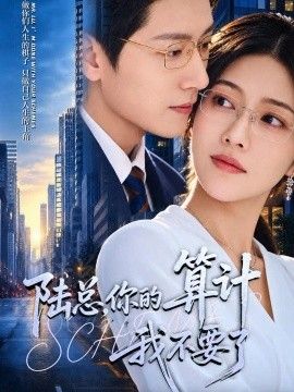 陆总，你的算计我不要了的封面图