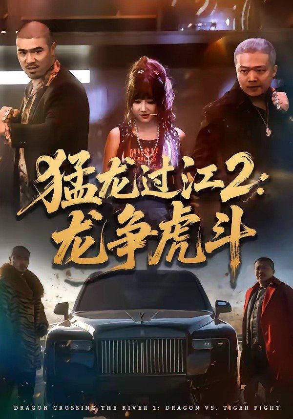 猛龙过江2：龙争虎斗的封面图