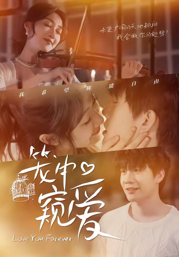 笼中窥爱封面图