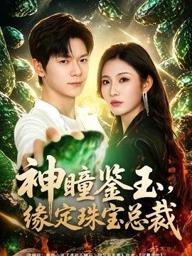 神瞳鉴玉，缘定珠宝总裁封面图