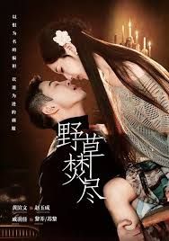 野草焚尽封面图