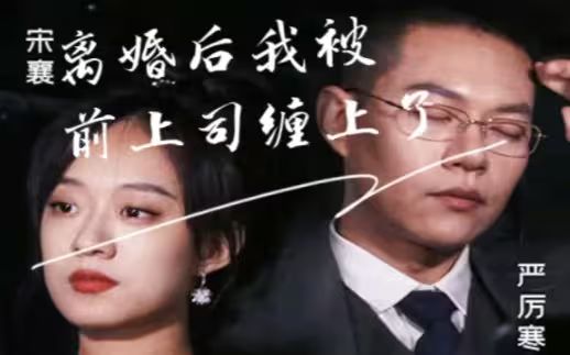 離婚后我被前上司纏上了
