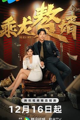 乘龙赘婿 