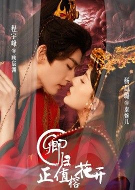 卿归正值榕花开封面图