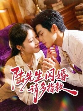 陆先生闪婚请多指教