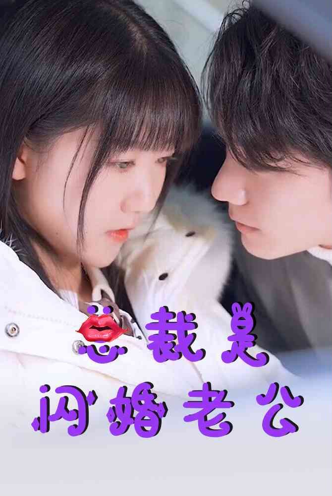 總裁是閃婚老公
