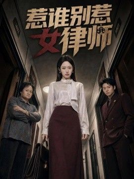 惹谁别惹女律师封面图