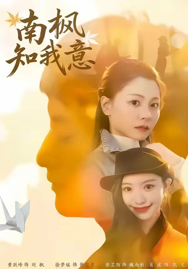 南枫知我意封面图