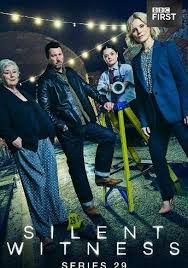 无声的证言第二十九季