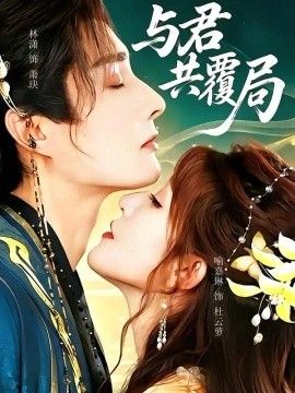与君共覆局封面图