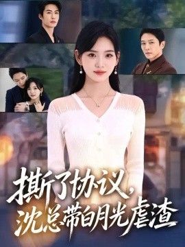 撕了协议,沈总带白月光虐渣