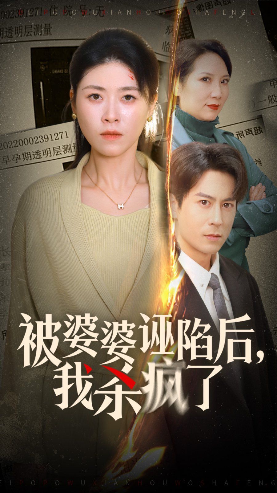 被婆婆誣陷后我殺瘋了