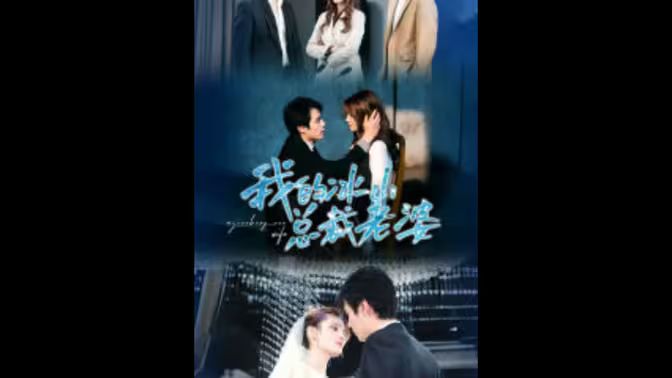 我的冰山總裁老婆