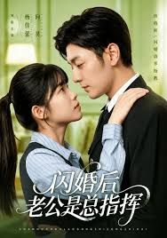 闪婚后老公是总指挥封面图