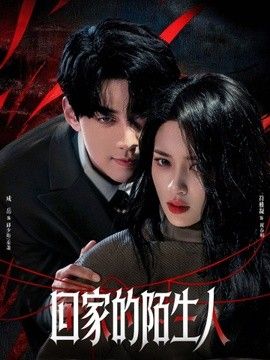回家的陌生人封面图