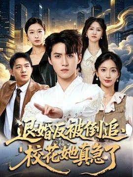 退婚反被倒追，校花她真急了封面图
