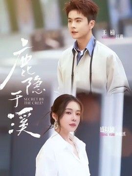 鹿隐于溪封面图