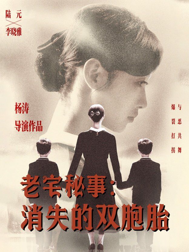 老宅秘事消失的雙胞胎（消失的孩子）