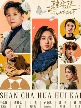 肆零肆：山茶花会开封面图