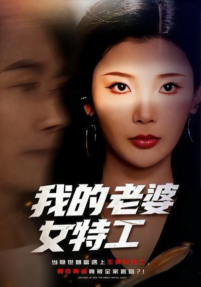 我的老婆女特工封面图