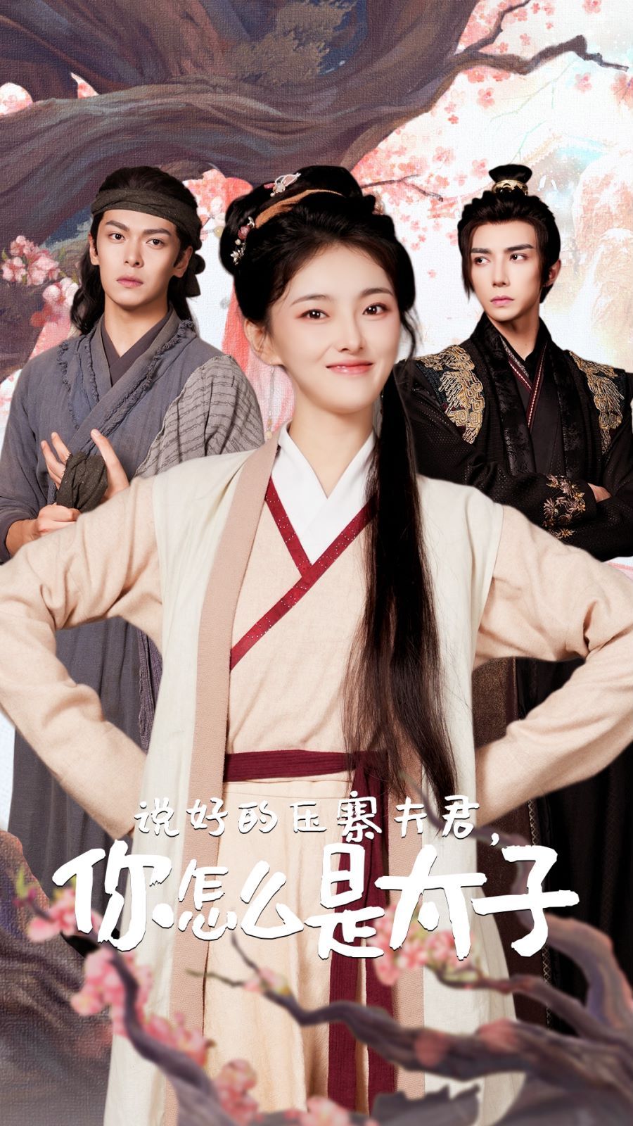 說好的壓寨夫君，你怎么是太子