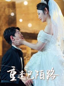 重逢已陌路（林千金她裝不下去了）（她如月光碎向星夜）