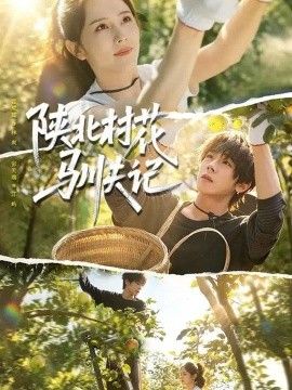 陕北村花驯夫记封面图