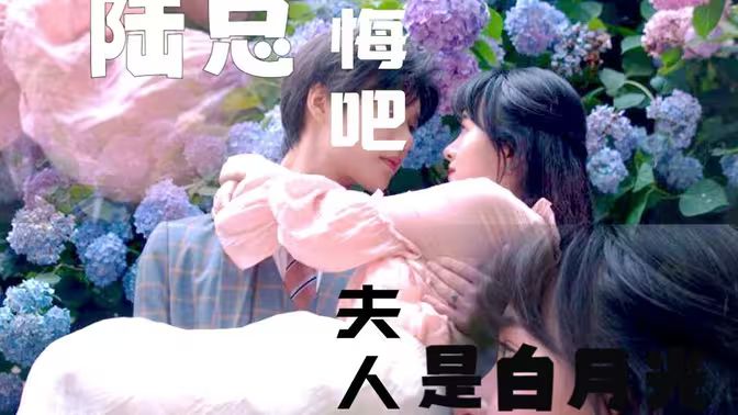陸總懺悔吧，夫人才是白月光