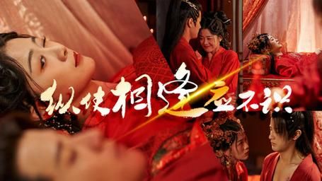 縱使相逢應(yīng)不識