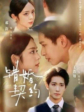 错婚契约封面图