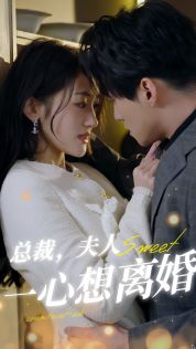 總裁，夫人一心想離婚