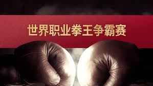世界职业拳王争霸赛封面图
