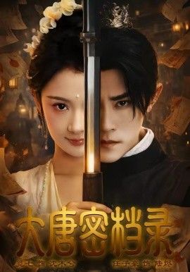 大唐密档录封面图
