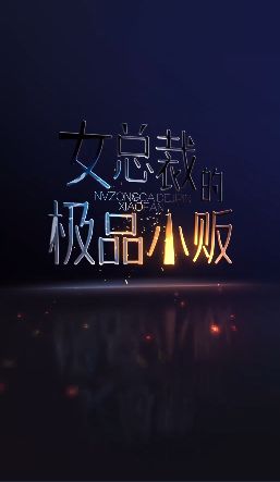 女總裁的極品小販