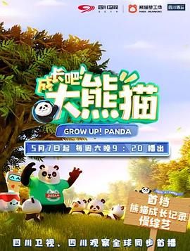 成長吧！大熊貓