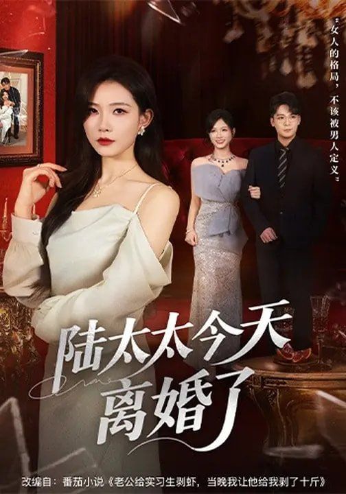 陆太太今天离婚了封面图