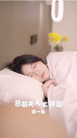 總裁夫人不好追