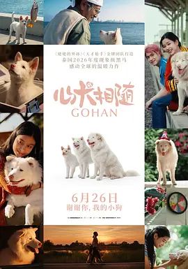 心犬相随封面图