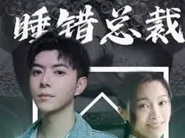 睡錯總裁狂寵妻